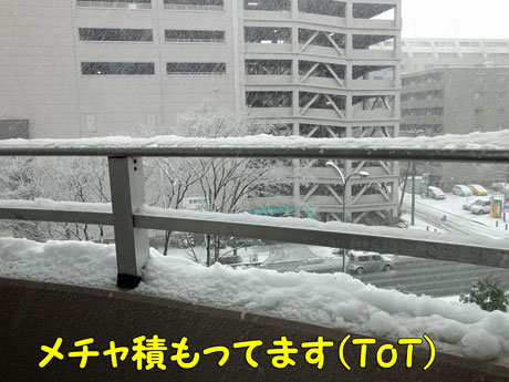 雪ー０２.jpg